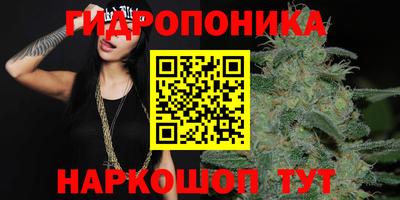 мяу мяу мука Шелехов