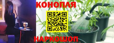тгк Шебекино