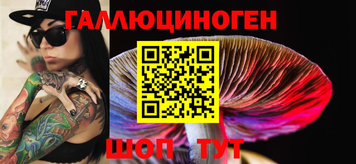 Псилоцибиновые грибы Psilocybe Саранск