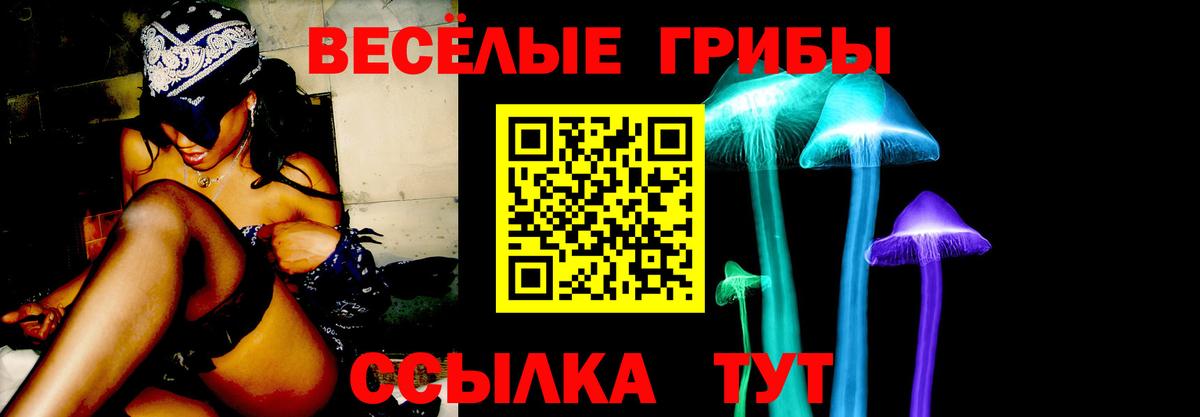 Галлюциногенные грибы прущие грибы  Вход с VPN  Саранск 